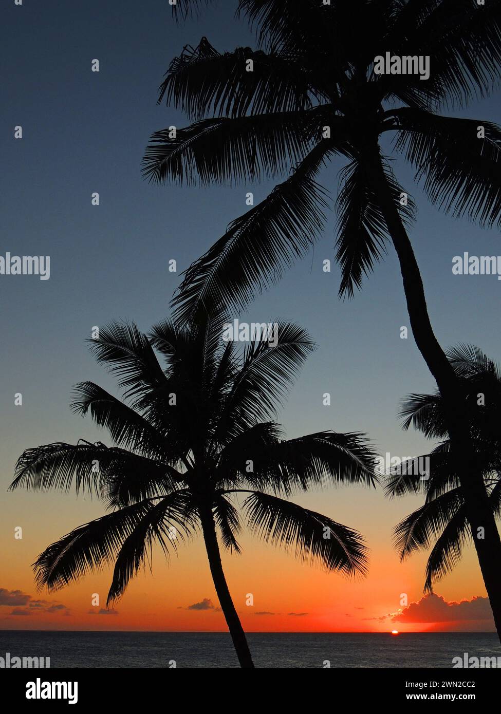 Farbenfroher Sonnenuntergang und Palmen über dem pazifik am poipu Beach, Kauai, hawaii Stockfoto