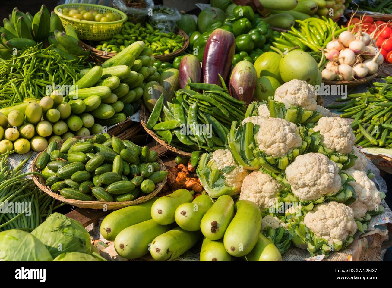 Colaba Market Mumbai Bombay Maharashtra Indien Stockfoto