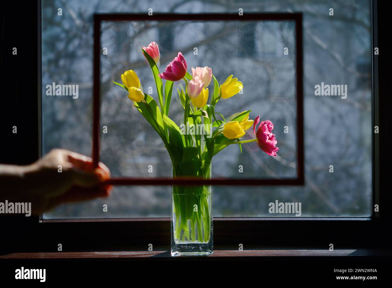 Abstrakter Rahmen mit Tulpenvase am Fenster Stockfoto