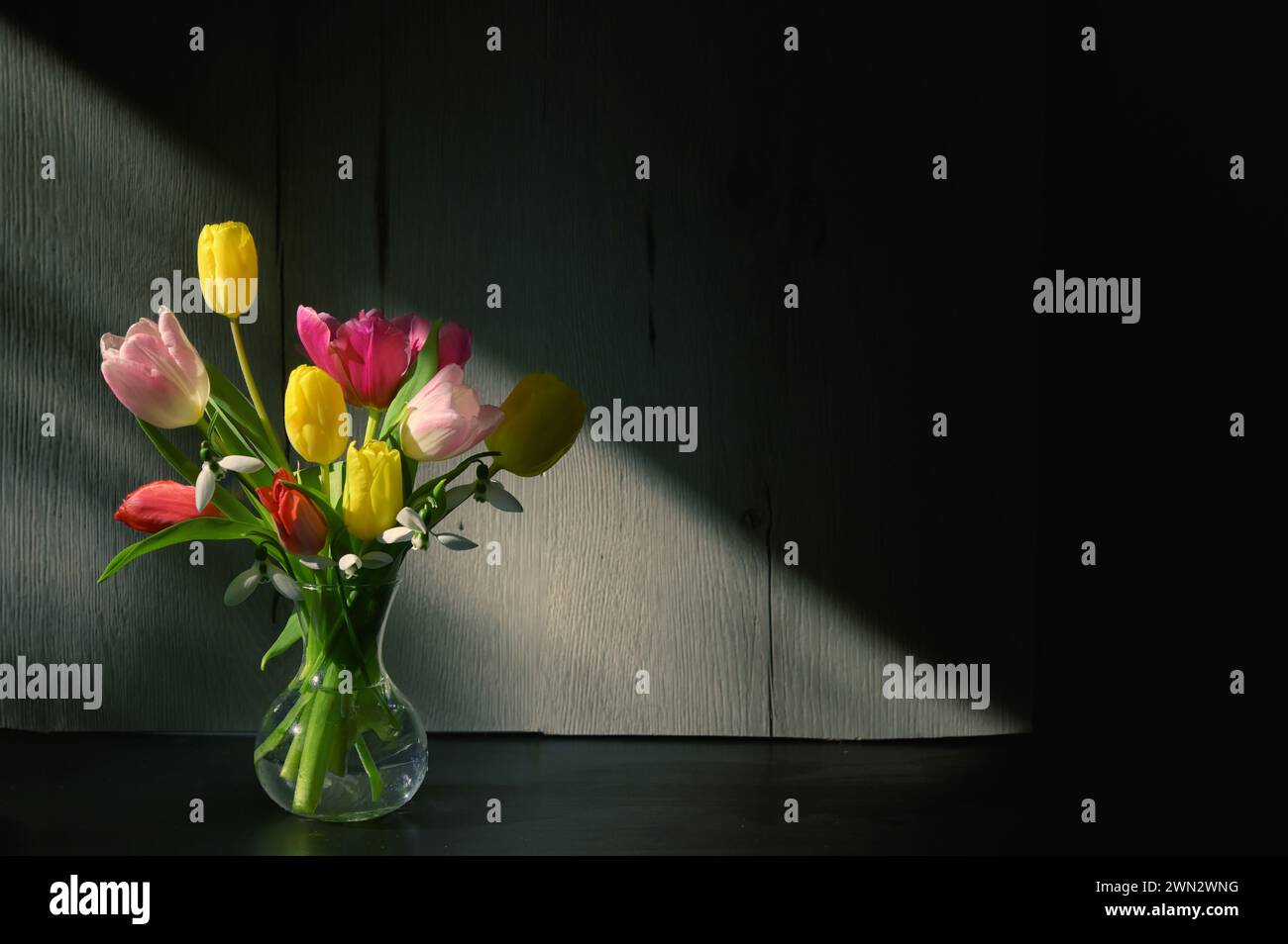 Vase aus Tulpen und Schatten isoliert auf dem Tisch Stockfoto