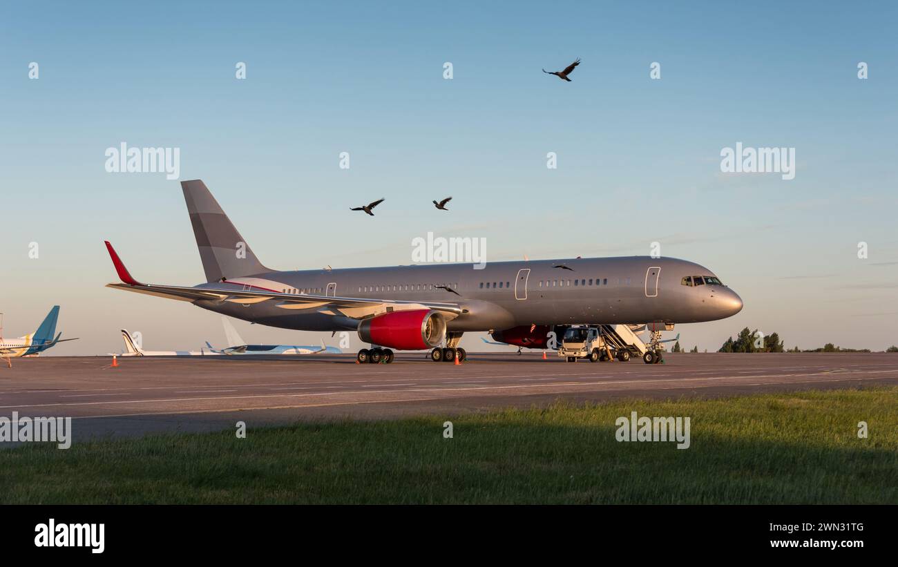 Seitenansicht des grauen Passagierflugzeugs auf dem Flughafenvorfeld und wenige andere Flugzeuge im Hintergrund bei Sonnenuntergang. Wenige Vögel fliegen im Vordergrund. Stockfoto