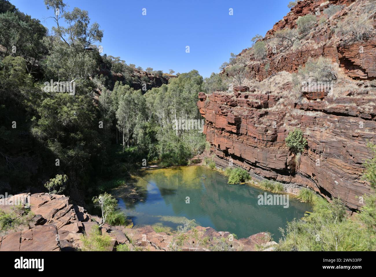 Mit seinen erfrischenden Swimmingpools und Wasserlöchern bietet die Dales Gorge einen erfrischenden Rückzugsort vom trockenen Plateau des Karijini NP Stockfoto