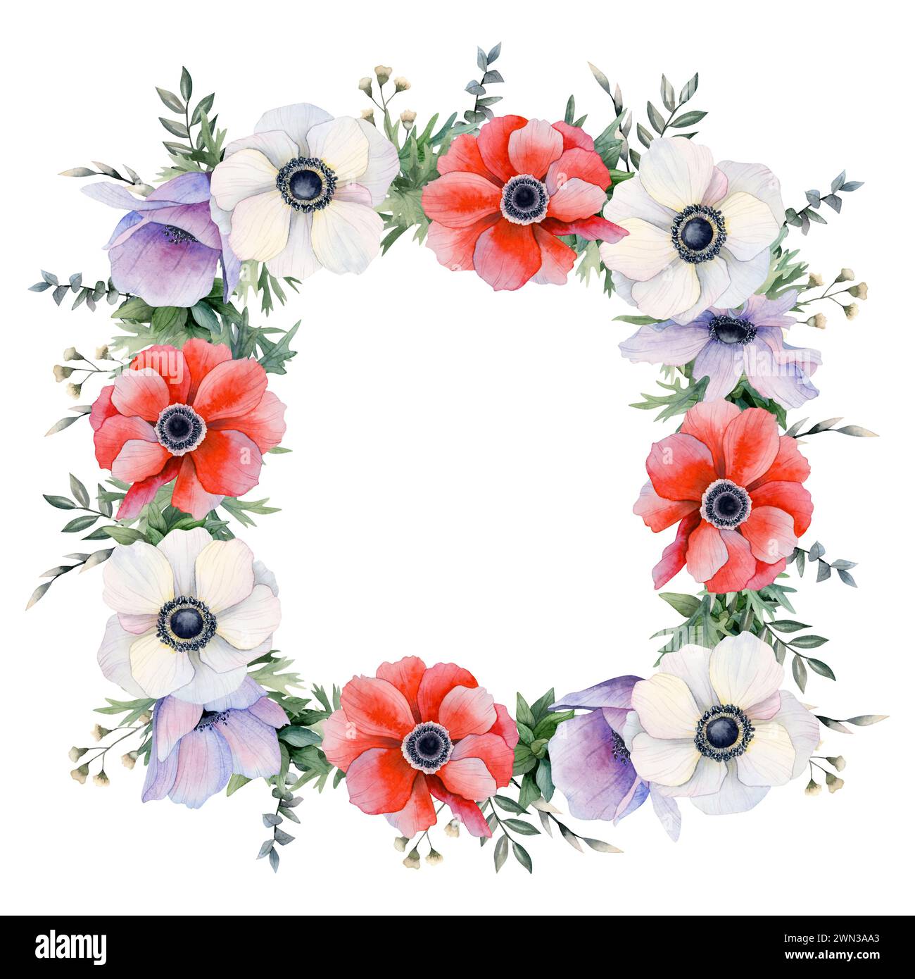 Weiße, rote und lila Frühlingsfeldblumen und Eukalyptus quadratischer Rahmen Aquarellillustration. Anemonen Mohnblumen Stockfoto