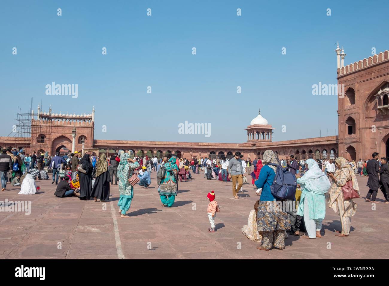 New Delhi, Indien - 9. Februar 2024: Jama Masjid in New Delhi, die wichtigste Moschee Indiens. Stockfoto