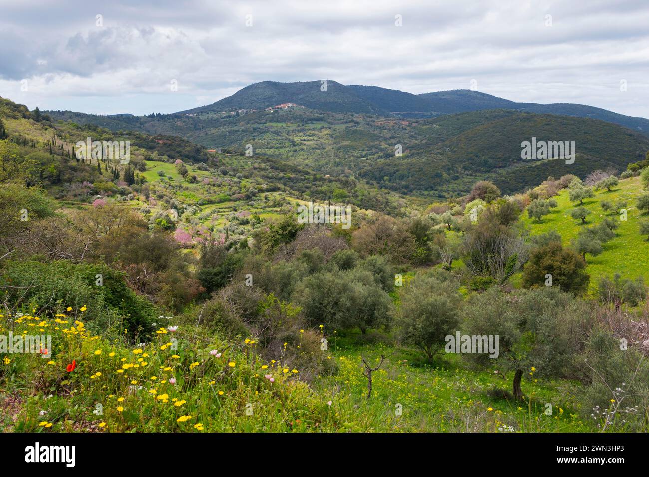 Blick auf eine friedliche, üppige grüne Landschaft mit Bergen und bewölktem Himmel im Hintergrund, in der Nähe von Platanien, Peloponnes, Griechenland Stockfoto
