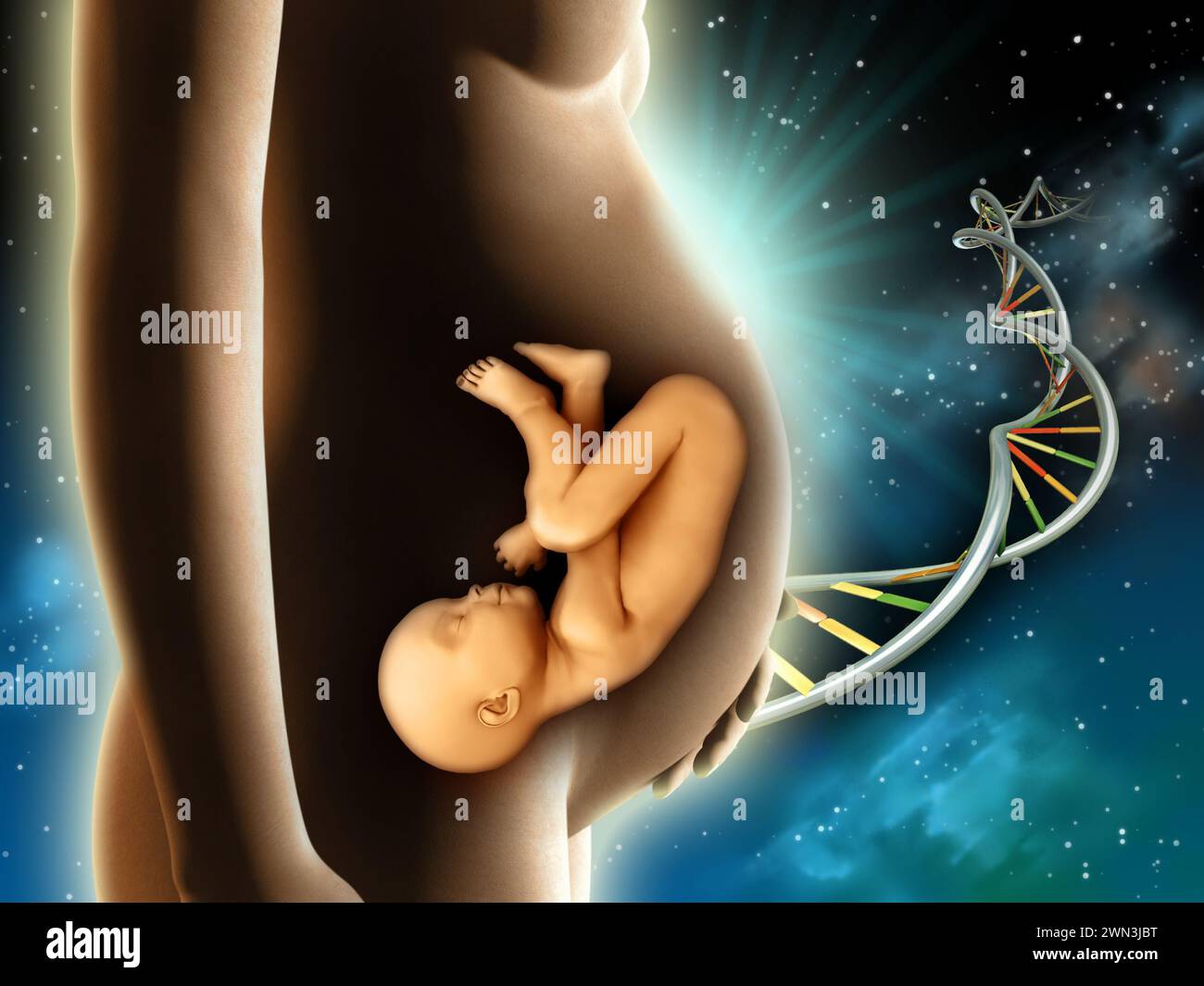 Die Baustoffe für ein neues Leben kamen aus dem Weltraum. Eine Frau, die einen Fötus in ihrem Gebärmutterleib trägt. Digitale Illustration. Stockfoto