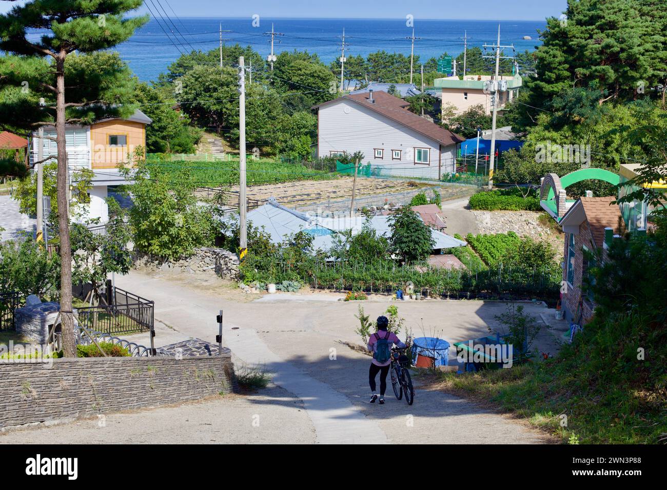 Yangyang County, Südkorea - 30. Juli 2019: Ein Radfahrer macht eine kurze Pause bergab am 38. Parallel Pass mit kleinen Bauernhöfen und niedrigen Häusern Stockfoto