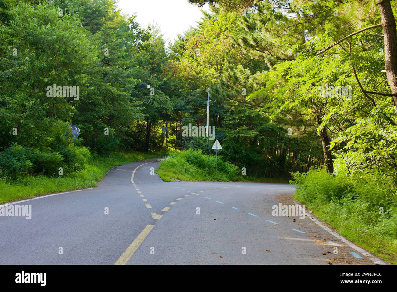 Yangyang County, Südkorea - 30. Juli 2019: In der Nähe des 38. Parallelpasses verlaufen zwei Straßen unter dem Baumdach, eine für Fahrzeuge und t Stockfoto