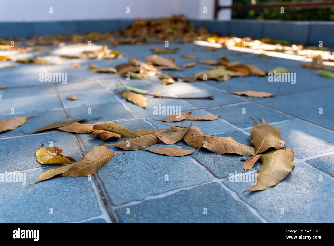 Herbstlaub auf dem Indian House Roof: Saisonwechsel in Uttarakhand, Indien Stockfoto