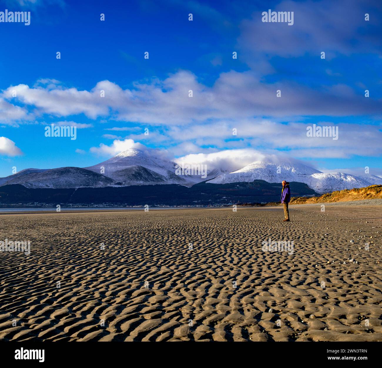 Schneebedeckte Berge von Mourne, Murlough Nature Reserve, Murlough Beach, County Down, Nordirland Stockfoto