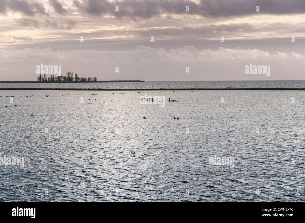 Ruhige Dämmerung über überflutete Wiese und Tor an einem Deich, ruhiger See, der sanftes Licht der untergehenden Sonne reflektiert. Vögel schweben sanft auf der Wasseroberfläche Stockfoto