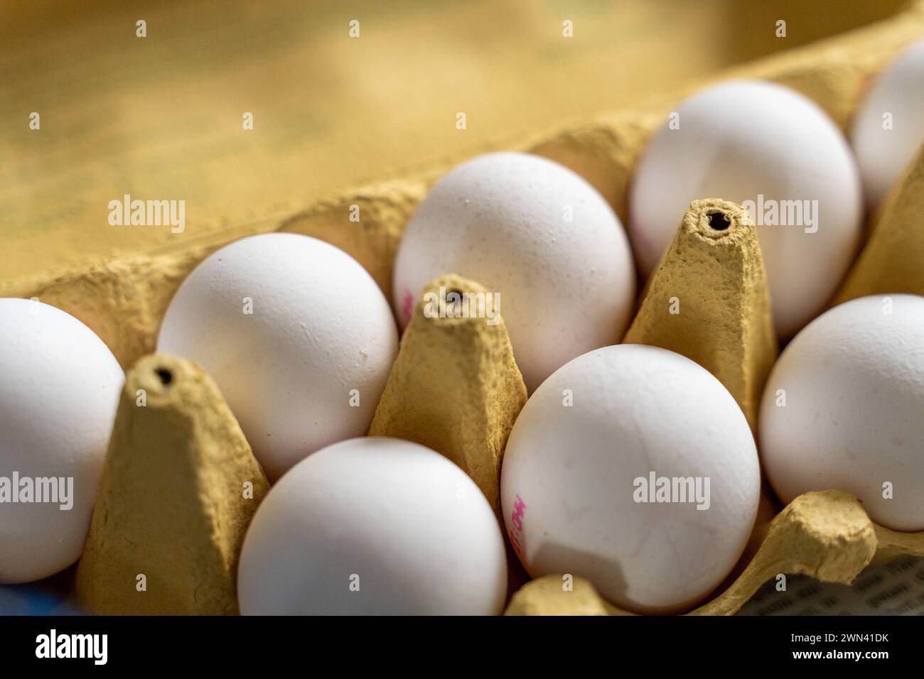 Augsburg, Bayern, Deutschland - 28. Februar 2024: Weiße Eier in einem Eierkarton. Hühnereier *** Weiße Eier in einem Eierkarton. Hühnereier Stockfoto