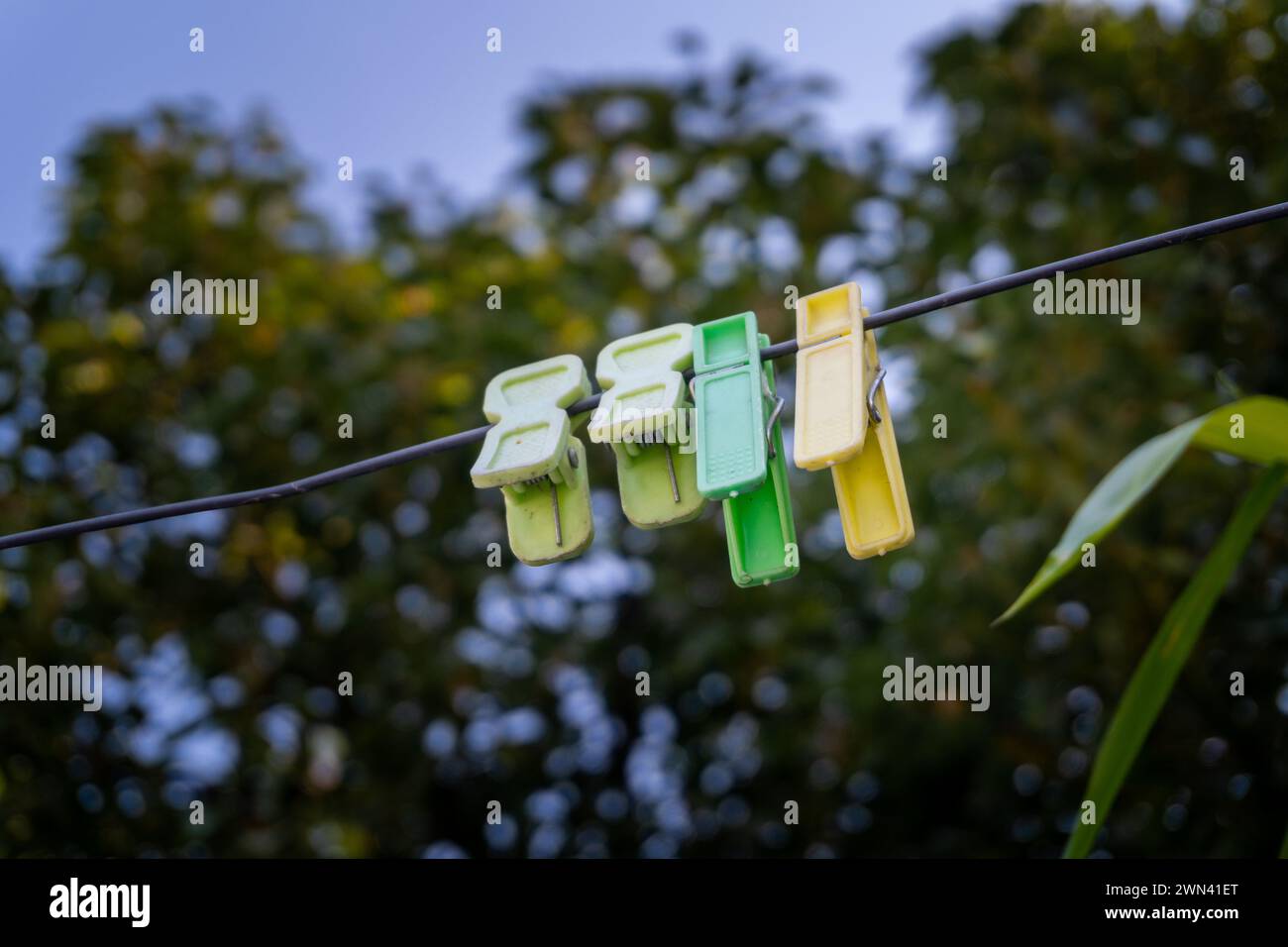 Künstlerische Aufnahme: Leere Cloth Clips Against Greenery in Dehradun, Uttarakhand Stockfoto