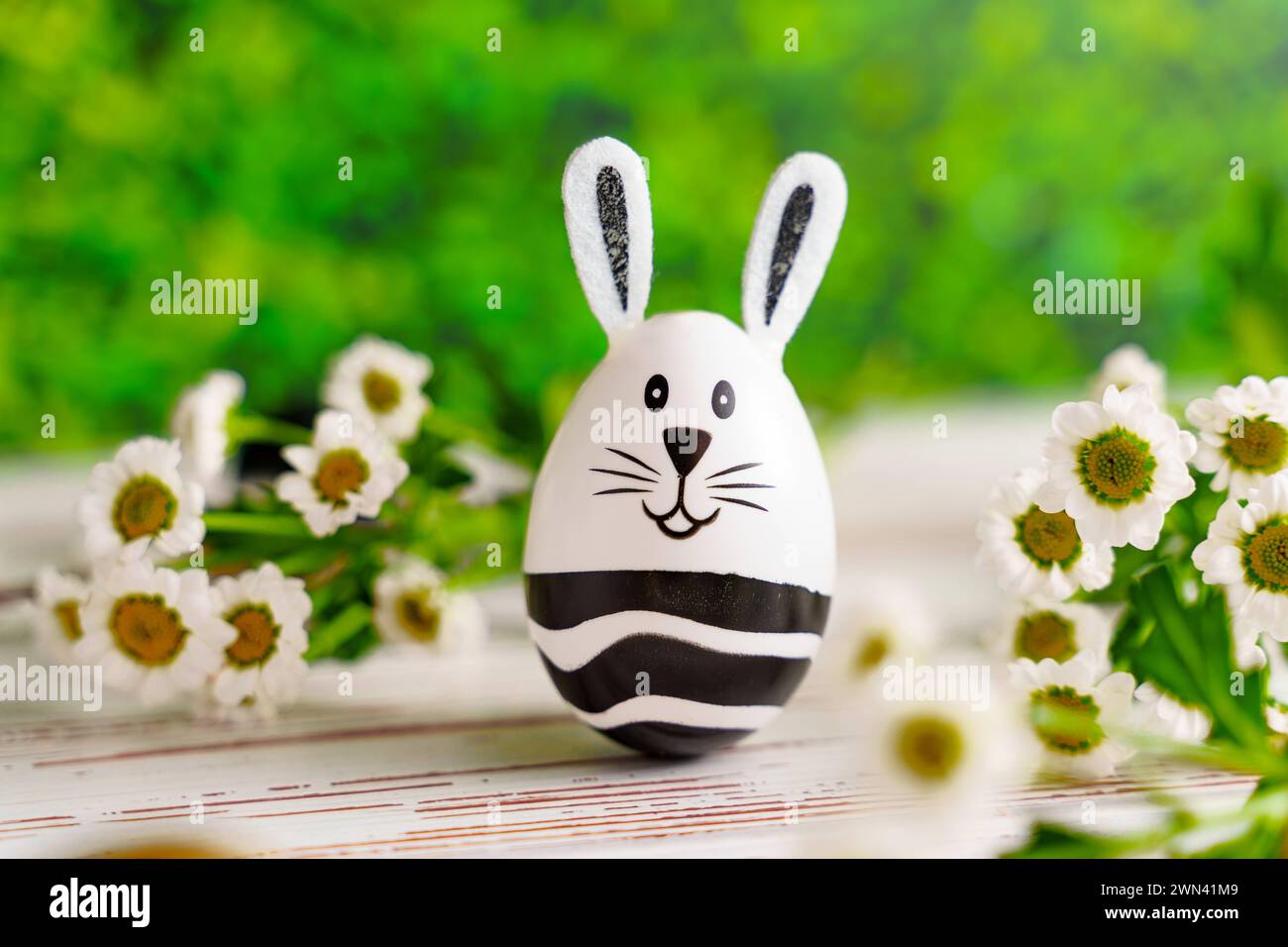 Augsburg, Bayern, Deutschland - 28. Februar 2024: Osterhasenei neben Blumenschmuck. Ostersymbolbild *** Osterhase EI neben Blumen Dekoration. Oster-Symbolbild Stockfoto