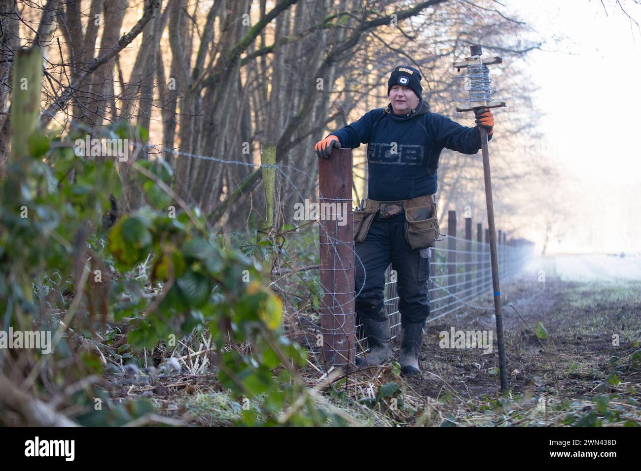 13/01/22 Ein Zaununternehmer trägt Arbeitskleidung von JCB, während er an einem frostigen Morgen im Churnet Valley, Staffordshire, einen neuen Zaun aufbaut. Alle R Stockfoto