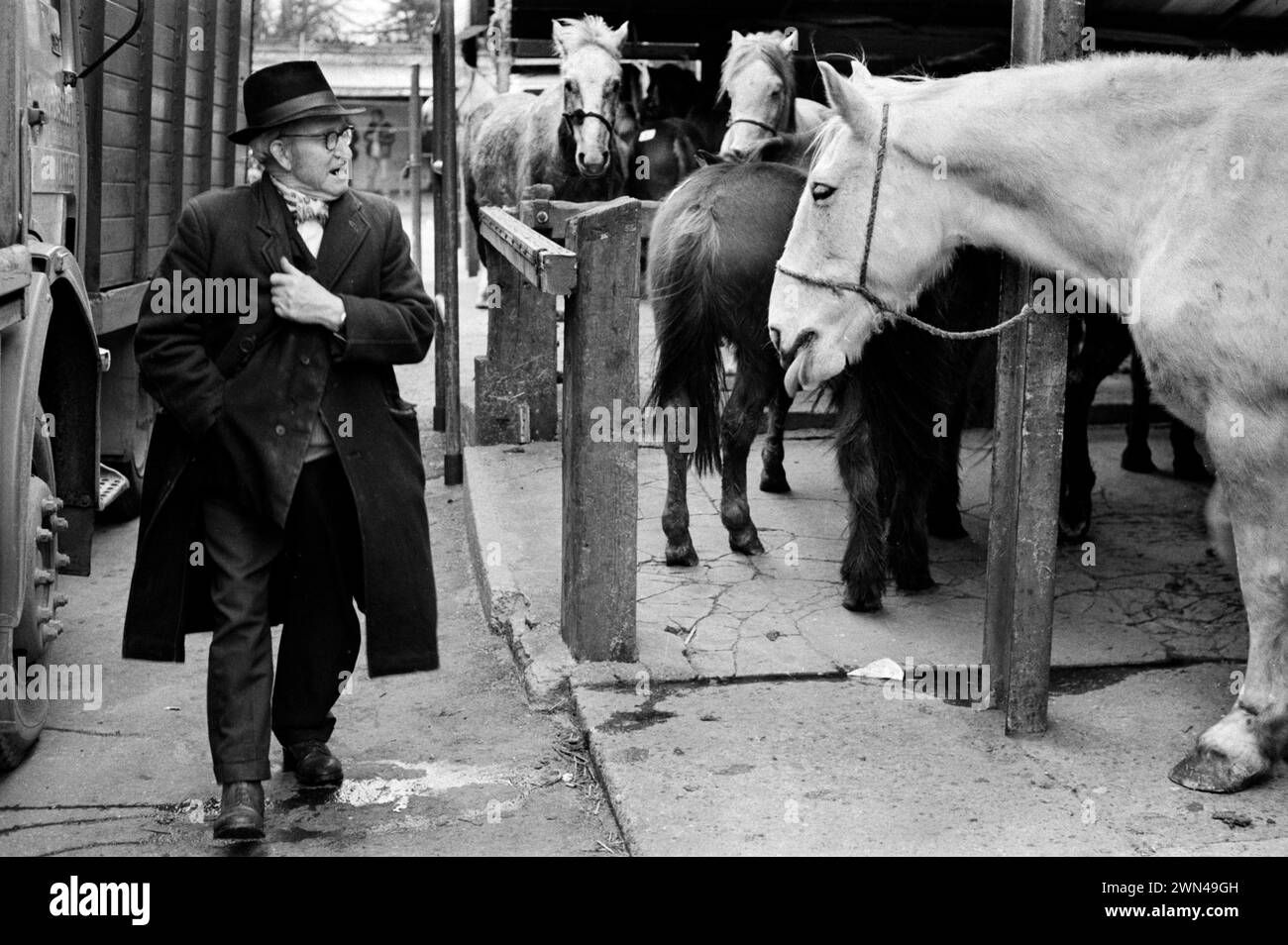 Ein älterer Zigeuner, der ein traditionell gebundenes Halstuch und einen Trilby-Hut trägt. Southall, Ealing, West London, England 1983. Southall wöchentlicher Pferdemarkt am Mittwoch, es war eine Chartermesse. London 1980er Jahre UK HOMER SYKES Stockfoto