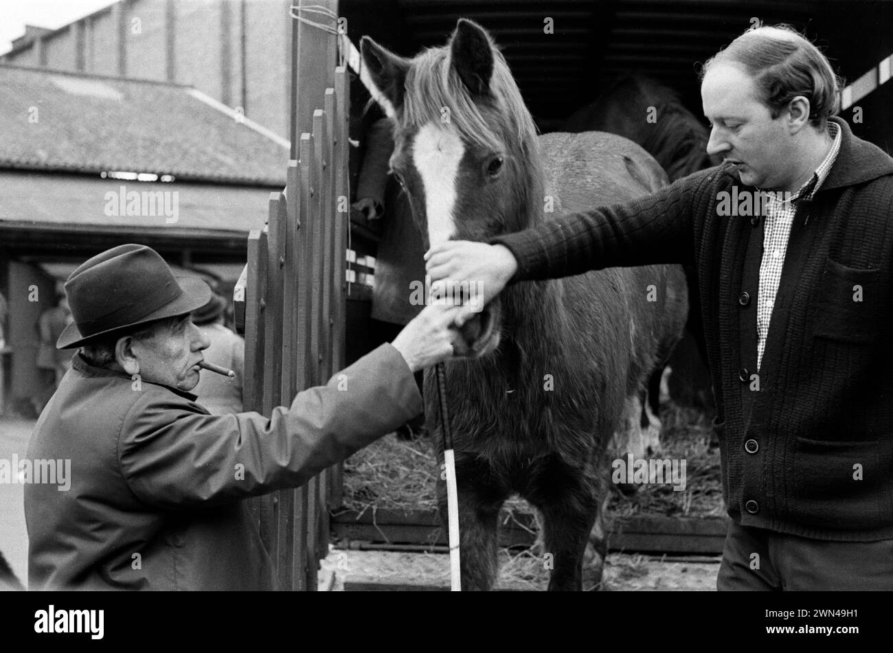 London UK Southall der 1980er Jahre, wöchentlicher Mittwoch Pferdemarkt, Charter Fair. Steven Bell (rechts) Pferdehändler in Southall. Southall, Ealing, West London, England 1983. HOMER SYKES Stockfoto