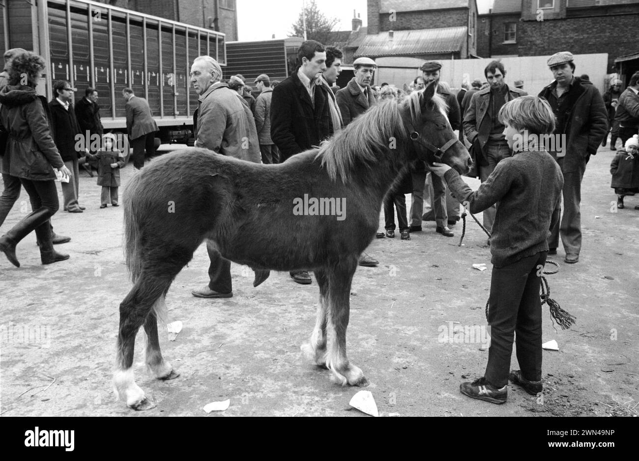 Southall wöchentlicher Pferdemarkt am Mittwoch. Jamie Gray mit Pony. Southall, Ealing, West London, England 1983 1980er Jahre, Großbritannien HOMER SYKES Stockfoto