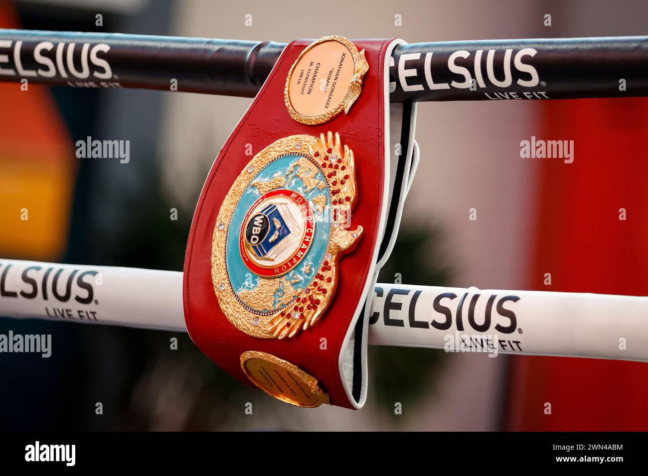 SAN JUAN, PUERTO RICO, Meisterschaft im Mindestgewicht der World Boxing Organization (WBO), Jonathan „Bomba“ González. 2. März: Boxkampf Coliseo De Puerto Rico. MVP Open Workouts, Distrito T- Mobile am 28. Februar 2024 in San Juan, Puerto Rico. (Foto: Edgardo J. Medina Millan/SIPA USA) Credit: SIPA USA/Alamy Live News Stockfoto