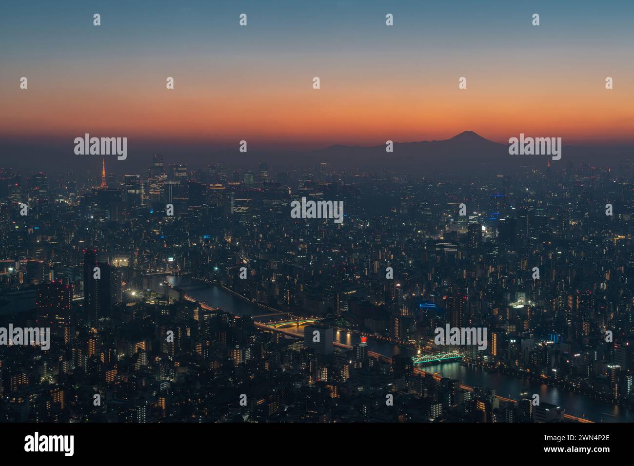 Aus der Vogelperspektive von Tokio in der Abenddämmerung, Japan. Stockfoto