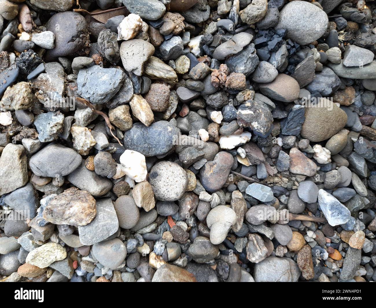 Schöne Kiesoberfläche, nass von Regen. Kieshintergrund für Design. Kiesstein. Kleiner Steinhintergrund Stockfoto