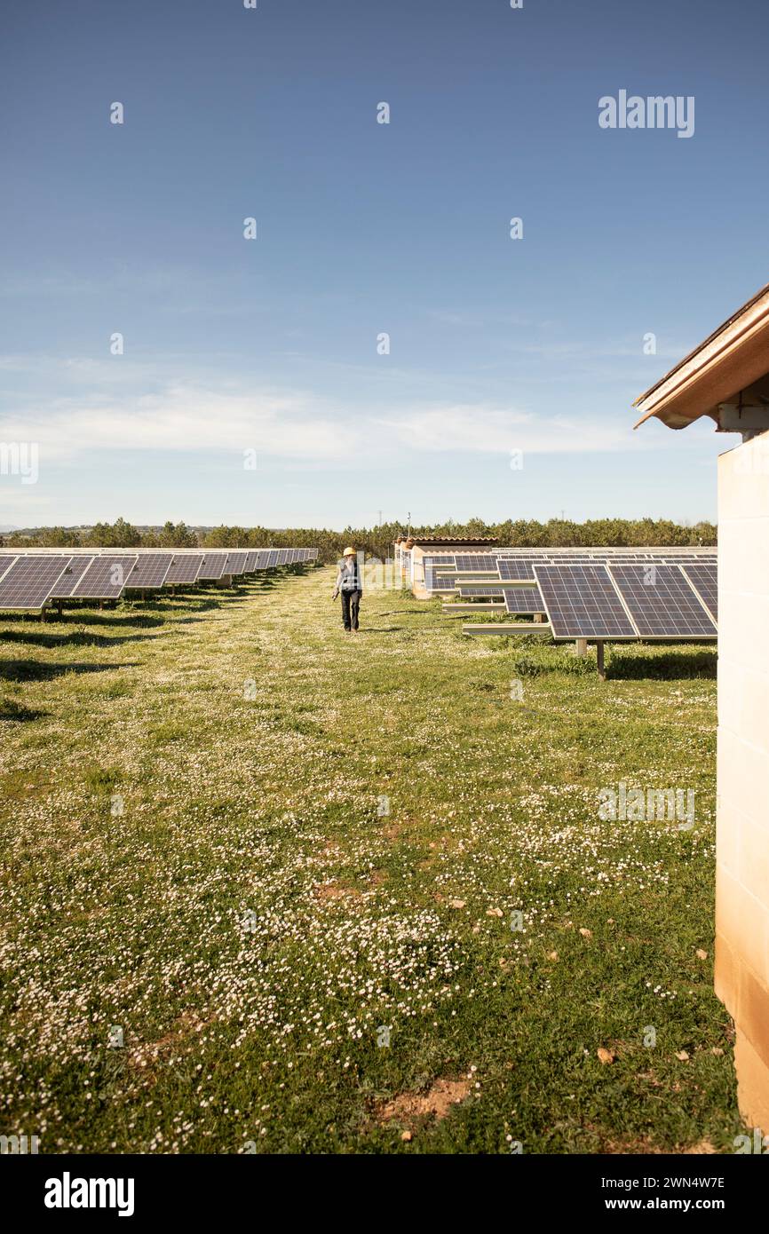 Ingenieurin, die auf Gras läuft, inmitten von Solarzellen im Kraftwerk Stockfoto