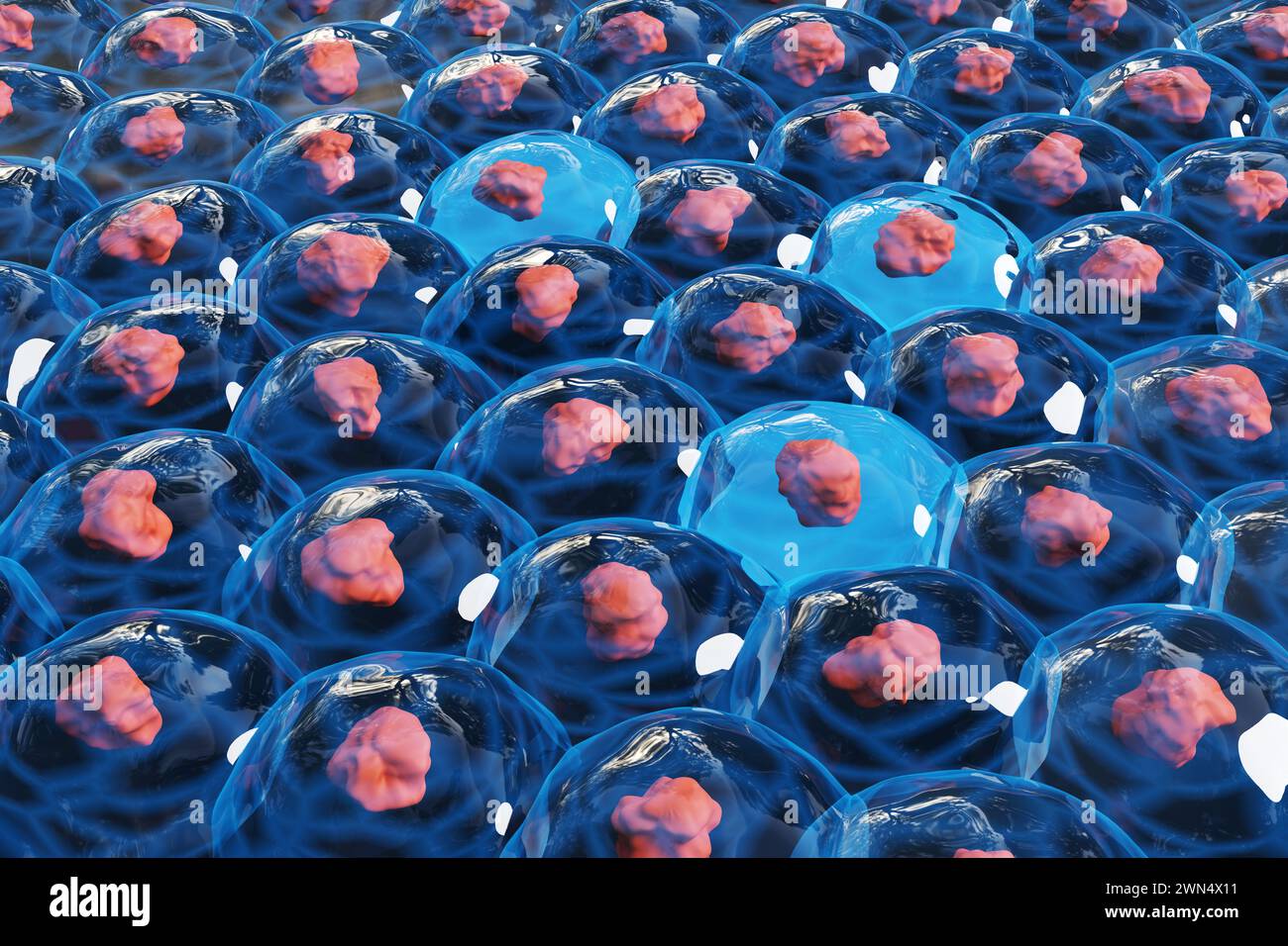 Rotes Gewebe bedeckt mit transparentem Gelee wie Flüssigkeit auf blauem Hintergrund. Illustration des Begriffs synthetisches Gewebe, Organe und Organismen Stockfoto