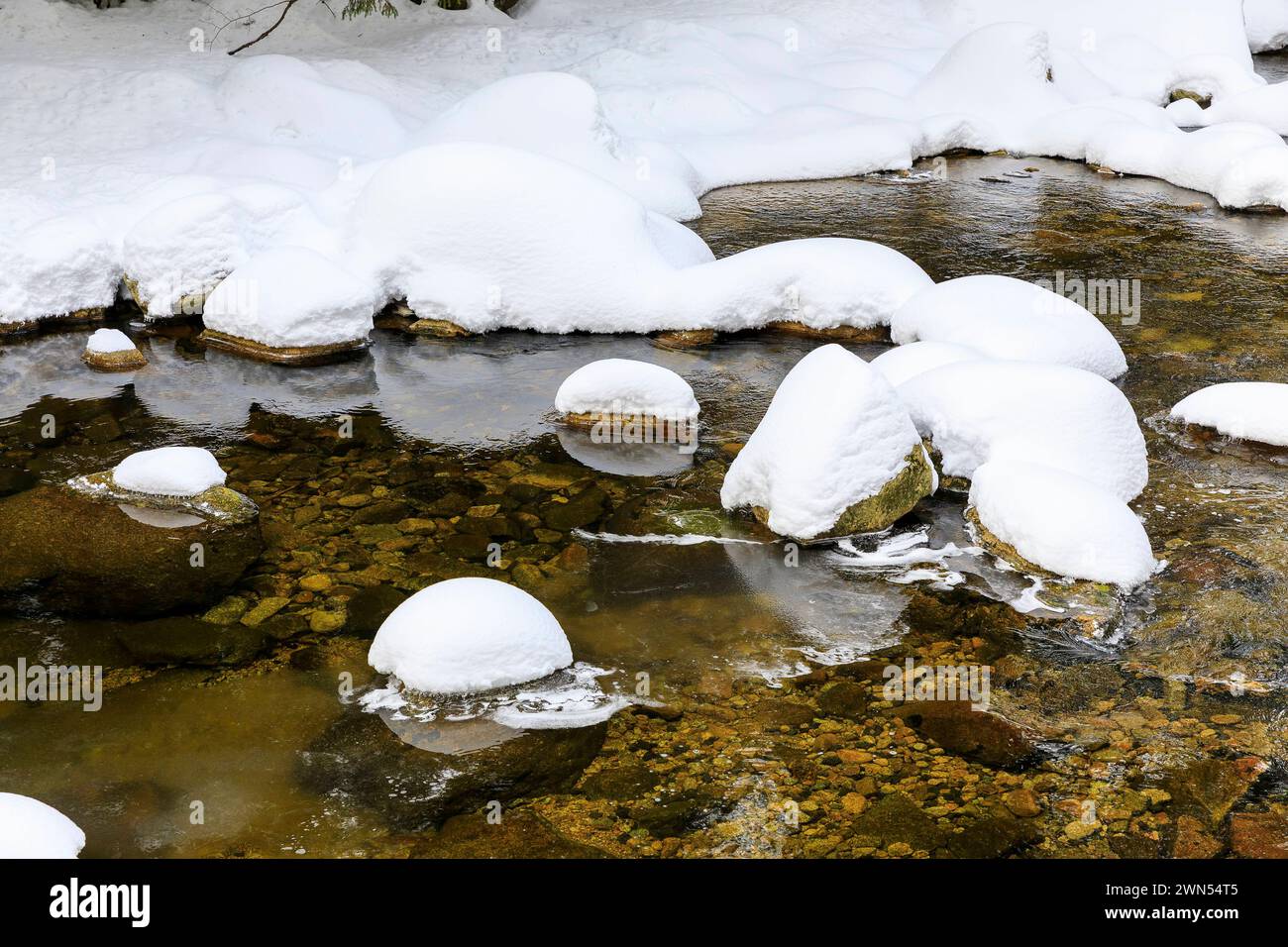 Fluss Mummel im Schnee, oberhalb von Harrachsdorf im Riesengebirge, Tschechien *** Fluss Mummel im Schnee, oberhalb von Harrachsdorf im Riesengebirge Stockfoto