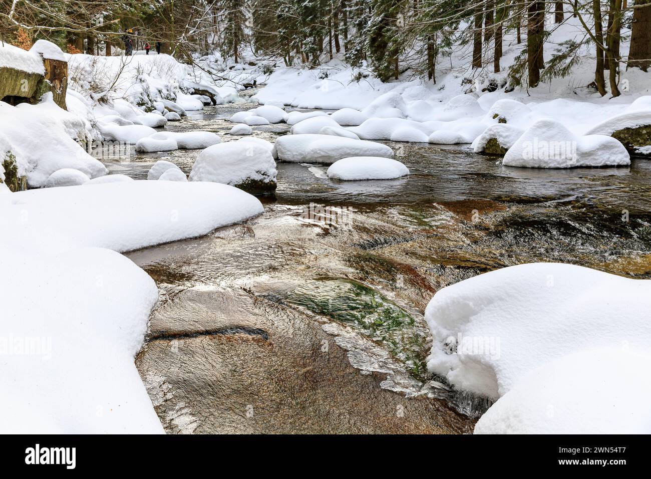 Fluss Mummel im Schnee, oberhalb von Harrachsdorf im Riesengebirge, Tschechien *** Fluss Mummel im Schnee, oberhalb von Harrachsdorf im Riesengebirge Stockfoto