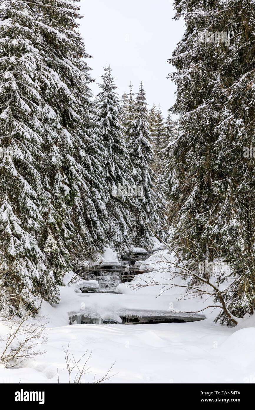 Fluss Mummel im Schnee, Harrachsdorf im Riesengebirge, Tschechien *** Fluss Mummel im Schnee, Harrachsdorf im Riesengebirge, Tschechien Stockfoto