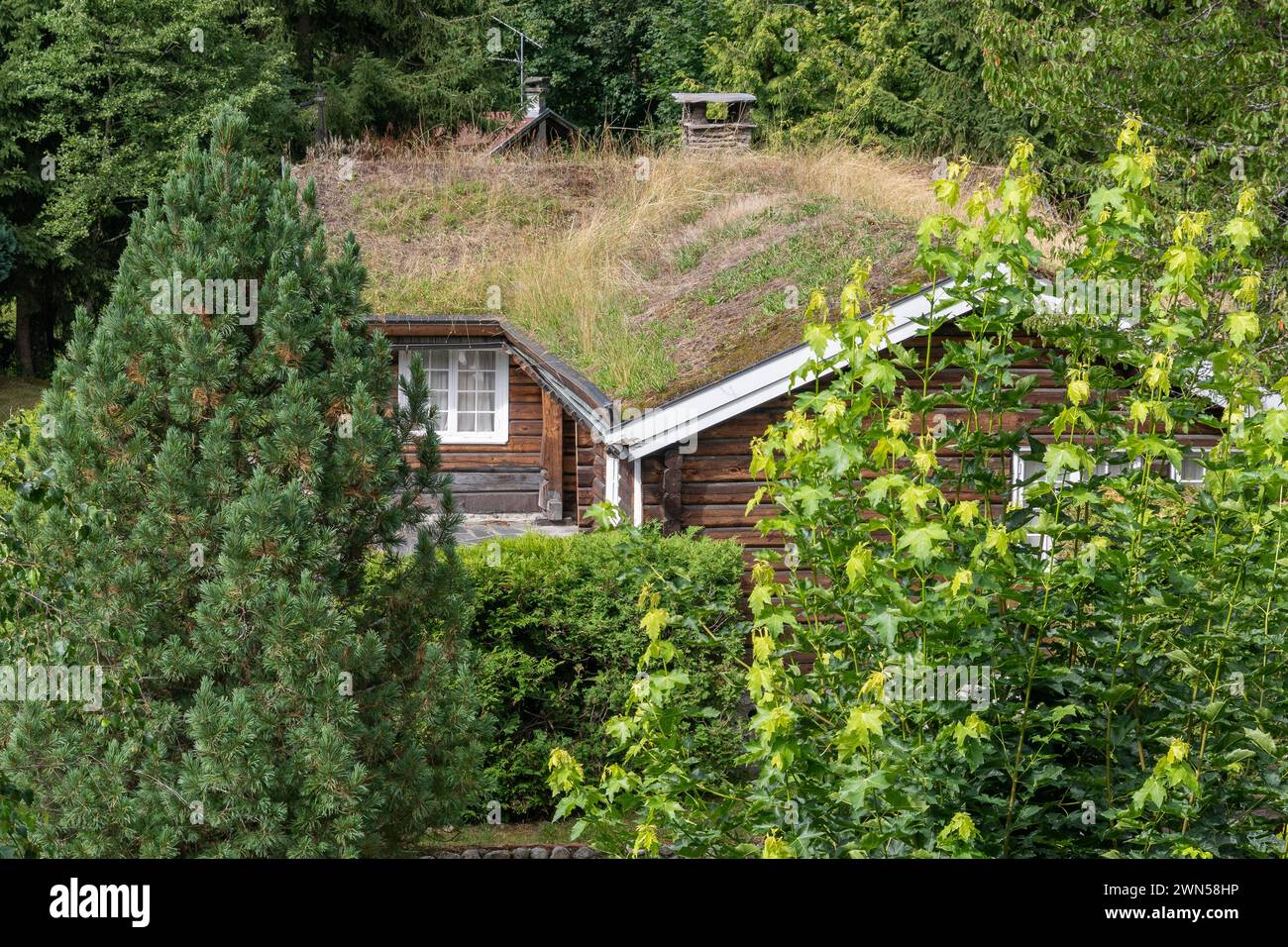 Hochwinkelansicht eines Rasenhauses, mit dem Dach bedeckt mit Erde und Gras, um das Haus energieeffizienter zu machen, Haute-Savoie, Frankreich Stockfoto