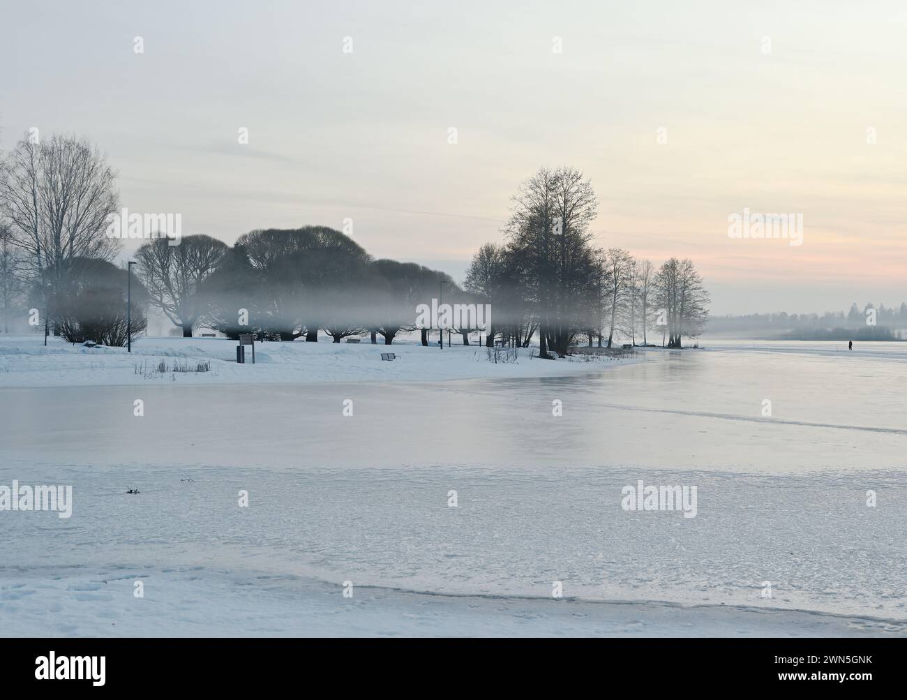 Eine ruhige Winterlandschaft mit einem gefrorenen See im Vordergrund und einem weichen Nebel, der sich an den Silhouettenbäumen im Hintergrund unter einer Schwächung anschmiegt Stockfoto