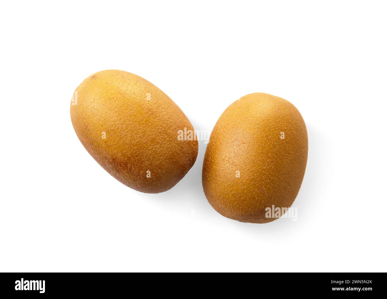 Zwei ganze reife goldene Kiwis, isoliert auf weißem Hintergrund. Kiwi mit gelb saftigem süßem Fruchtfleisch (Actinidia chinensis). Stockfoto