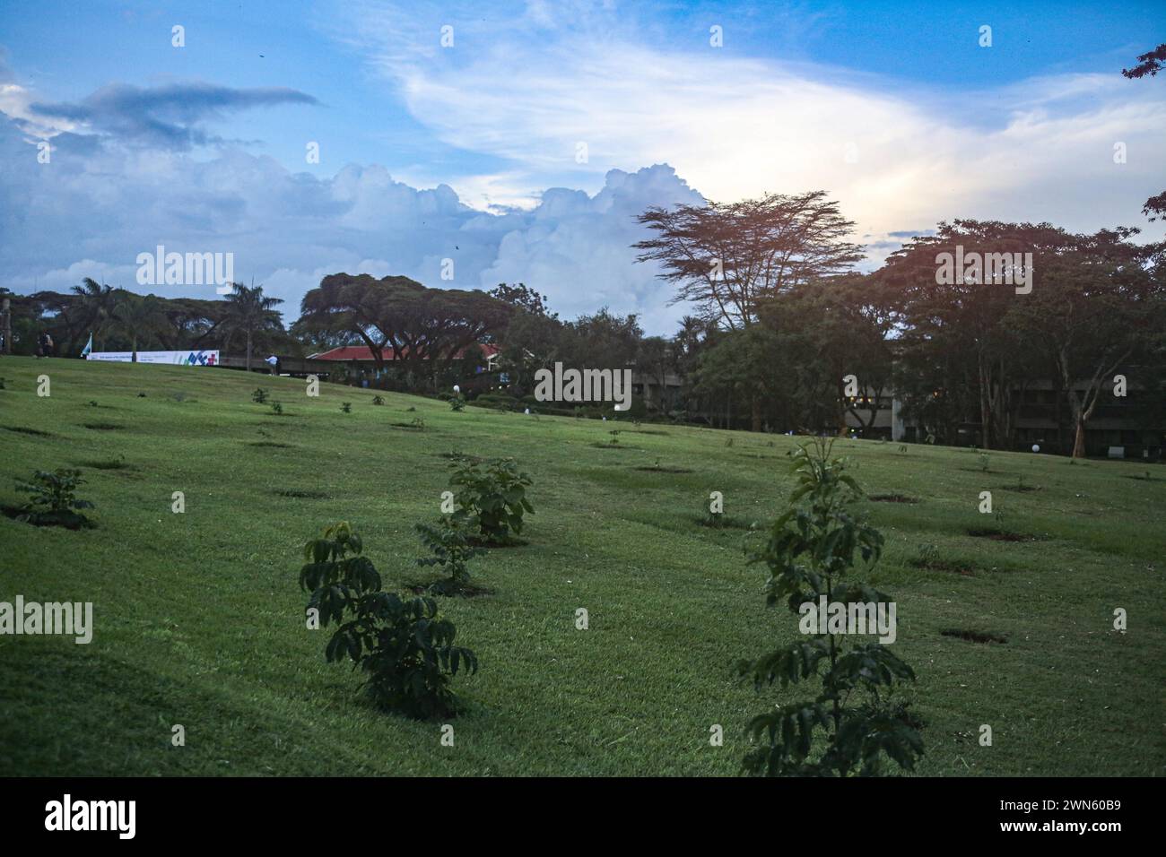 Nairobi, Nairobi, Kenia. Februar 2024. Ein Hügel mit Blick auf das Gelände der UN-Station Nairobi während der 6. UN-Umweltversammlung. Die zweiwöchige Veranstaltung konzentrierte sich auf die globalen grundlegenden Anliegen Umwelt, Klima und Tierwelt, die Nationen in multilateralen Diskussionen und künftigen Entscheidungen zusammenbringen. (Kreditbild: © Bianca Otero/ZUMA Press Wire) NUR REDAKTIONELLE VERWENDUNG! Nicht für kommerzielle ZWECKE! Stockfoto