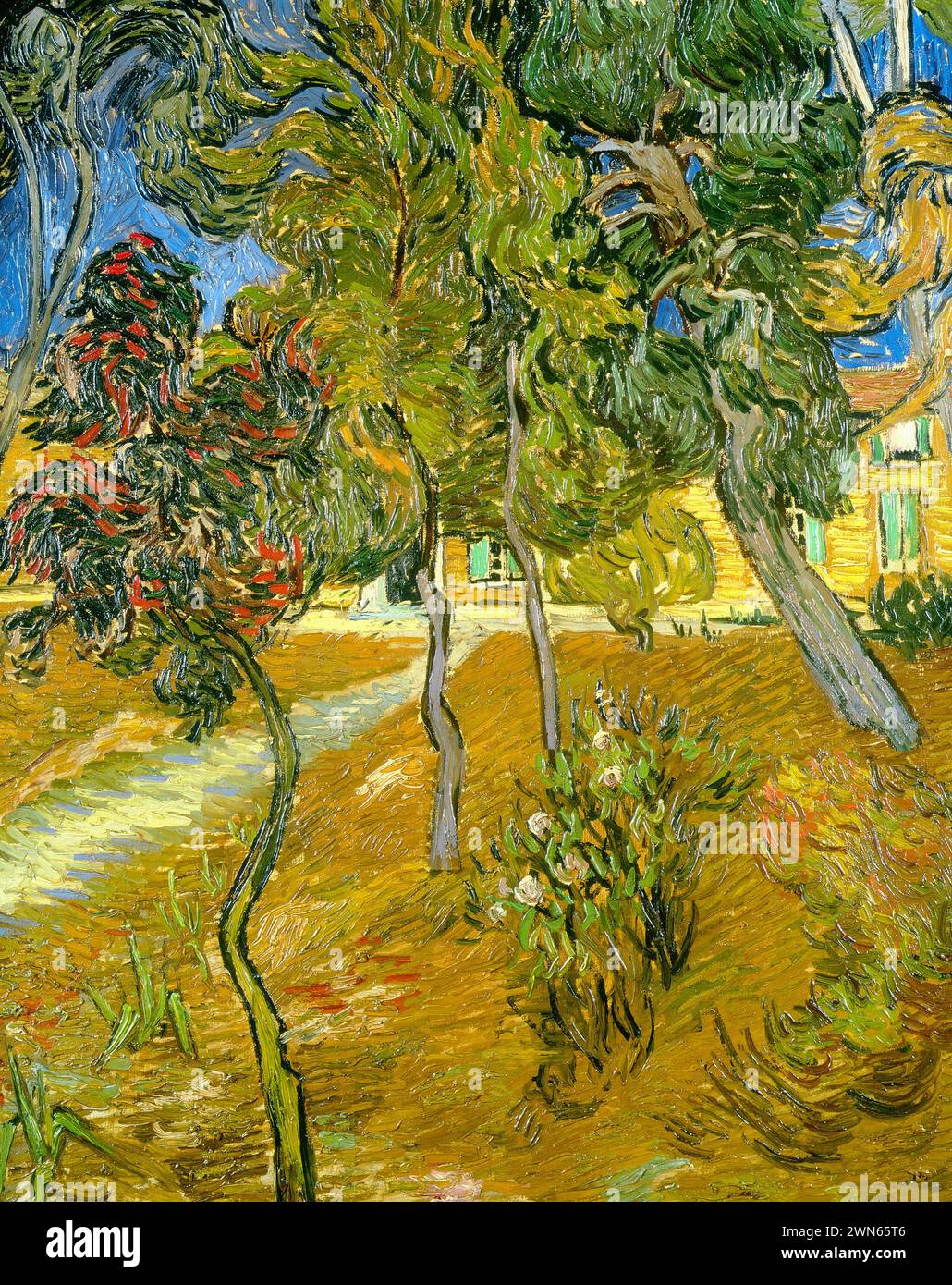Van Gogh Vincent - Bäume im Asylgarten (1889) Stockfoto