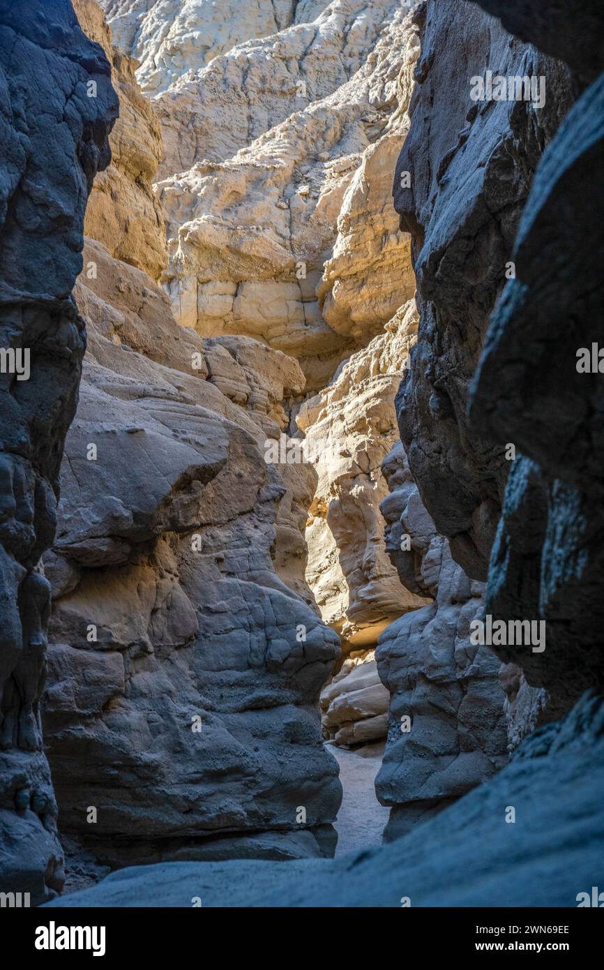 Aufnahmen vom Anza Borrego State Park, 2023 Stockfoto