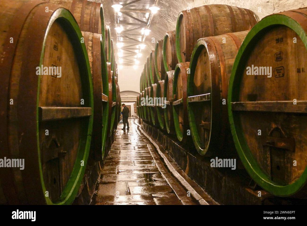 Pilsen, Tschechische Republik - 01. Juni 2017 - Alte Holzfässer im Keller der Pilsner Urquell Brauerei Stockfoto