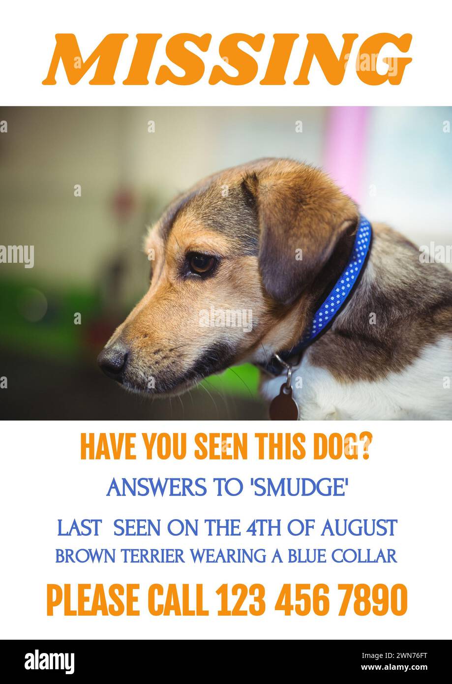 Komposition des Posters mit fehlenden Haben Sie diesen Hundetext über Hund auf weißem Hintergrund gesehen Stockfoto