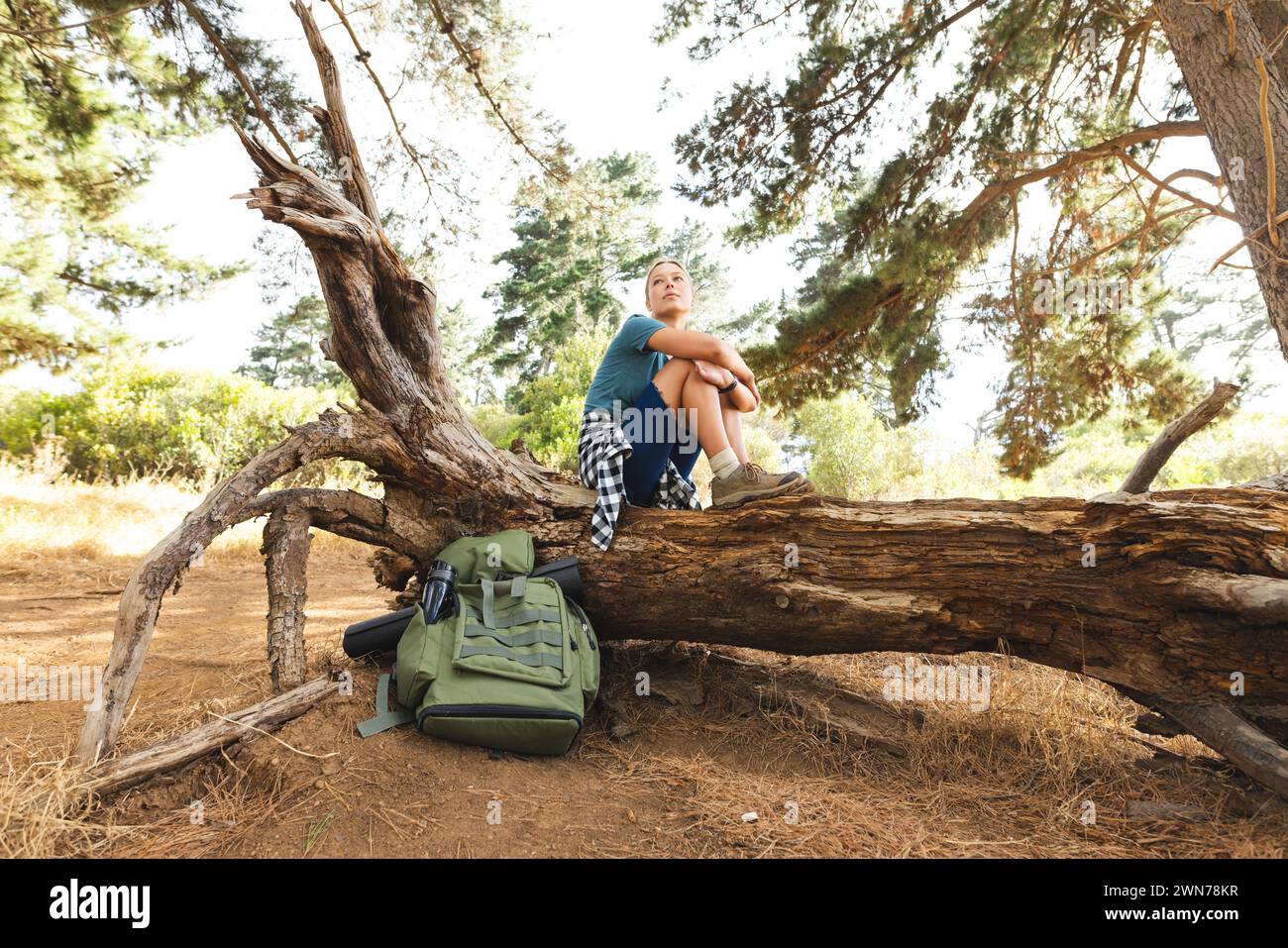 Junge kaukasische Frau sitzt auf einem umgestürzten Baum auf einer Wanderung und blickt in die Ferne Stockfoto