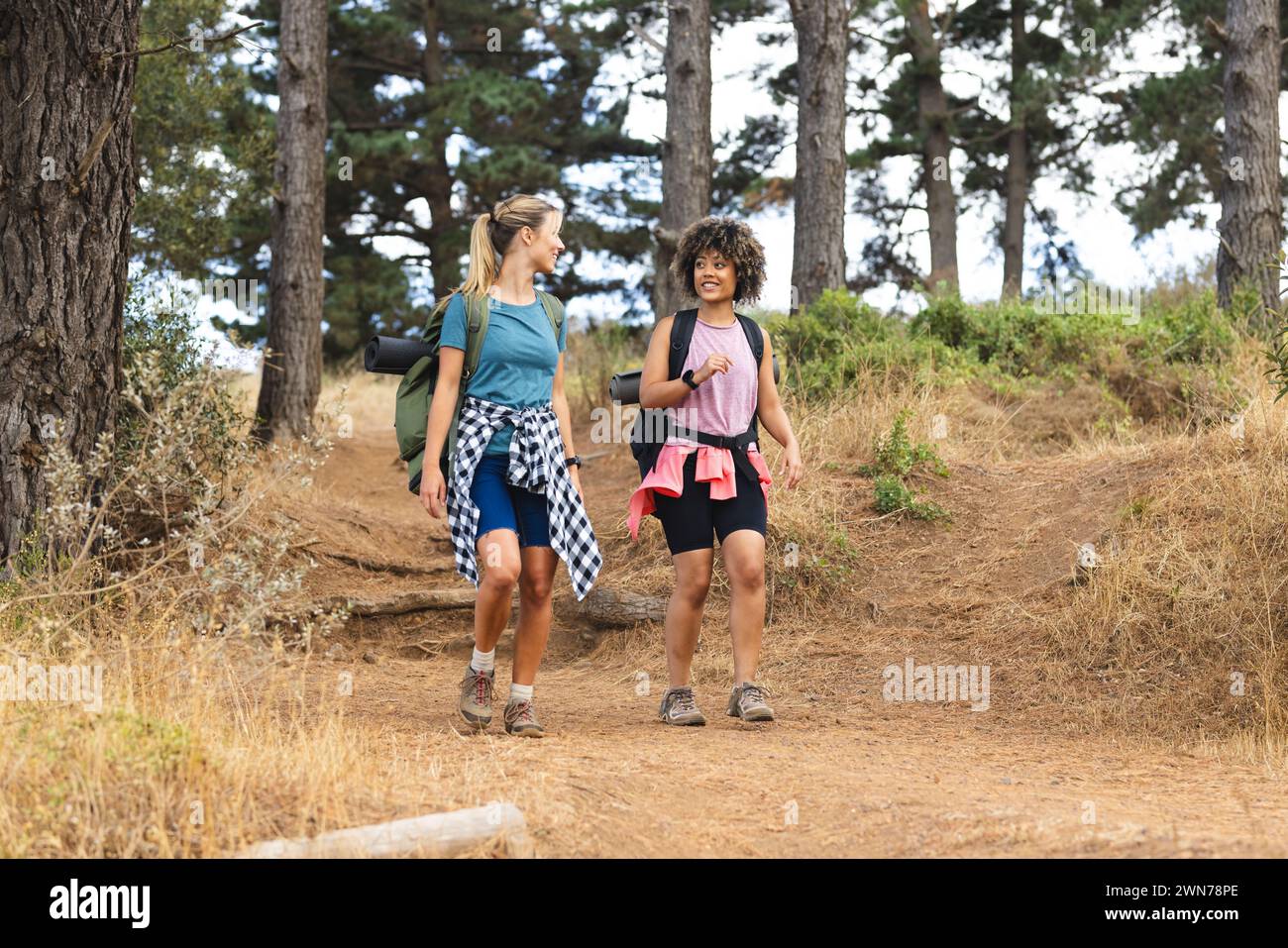 Zwei Frauen wandern tagsüber auf einem Waldweg Stockfoto