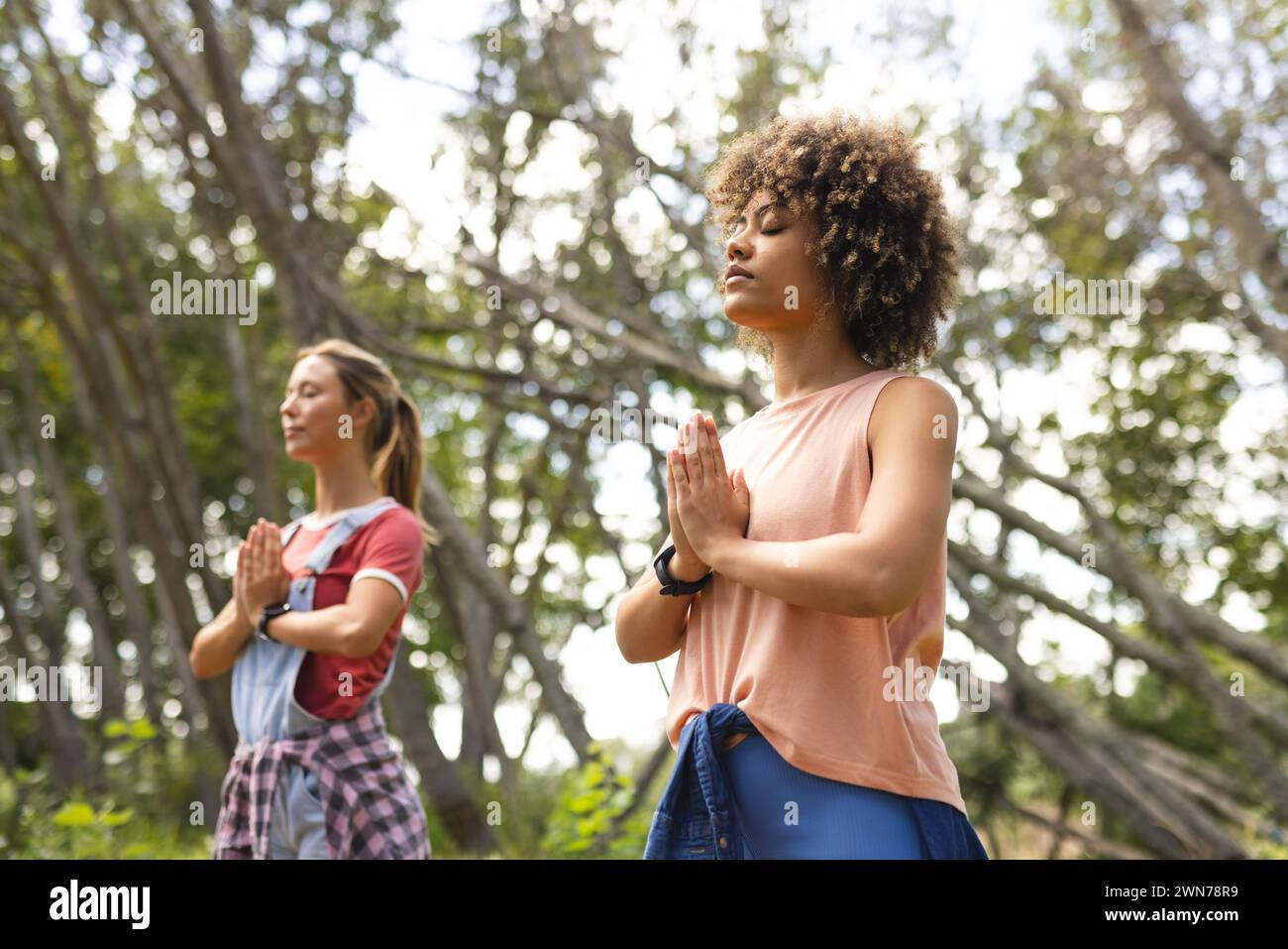 Zwei Frauen üben Yoga in einer ruhigen Waldumgebung Stockfoto