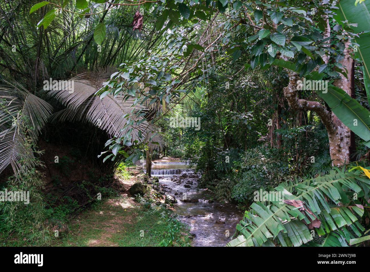 Botanischer Garten. Penang. Malaysia Stockfoto