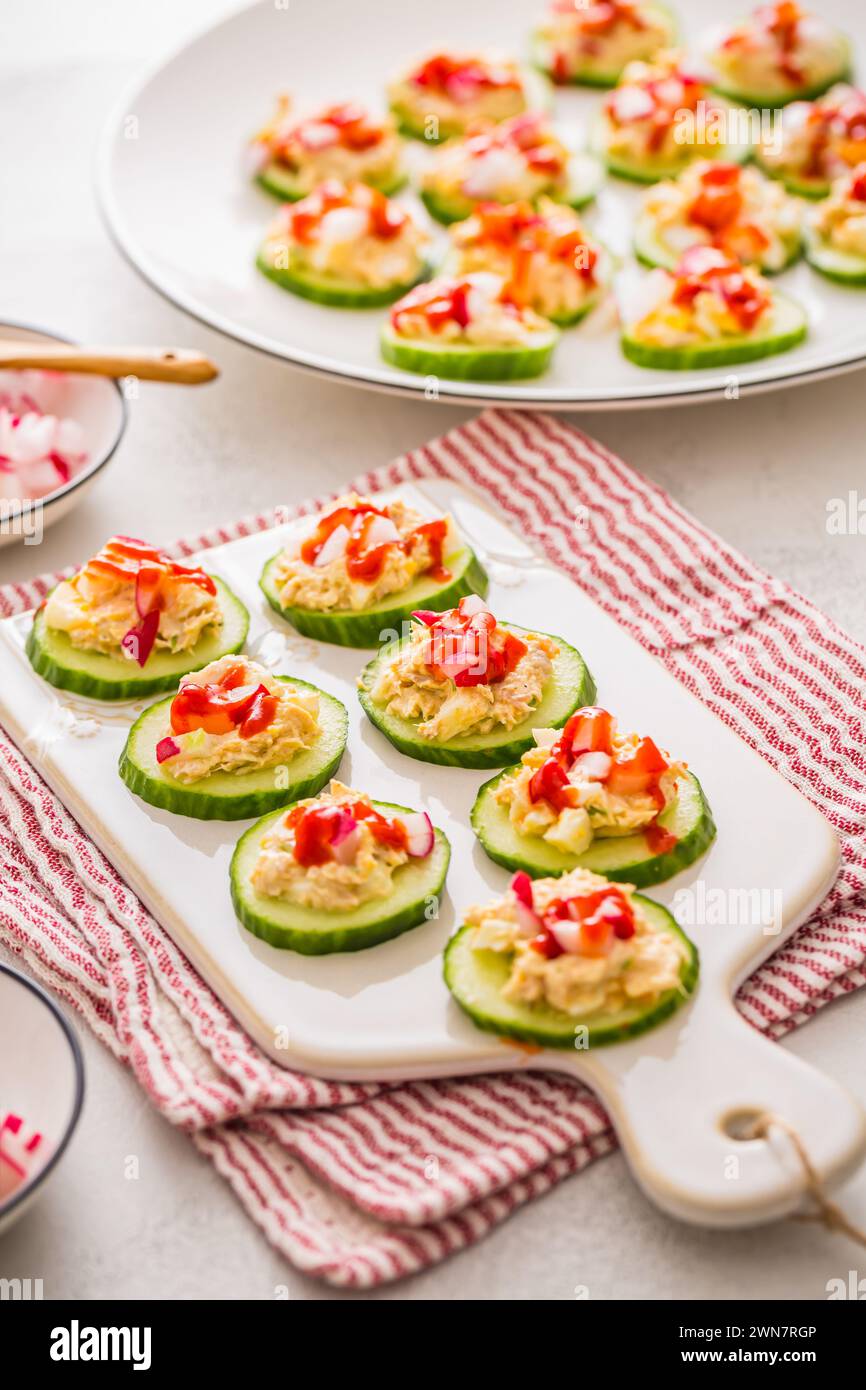 Gurken-Vorspeisen mit Thunfisch und Lachs mit Rettich, Fingerfood, gesunden Stücken Stockfoto