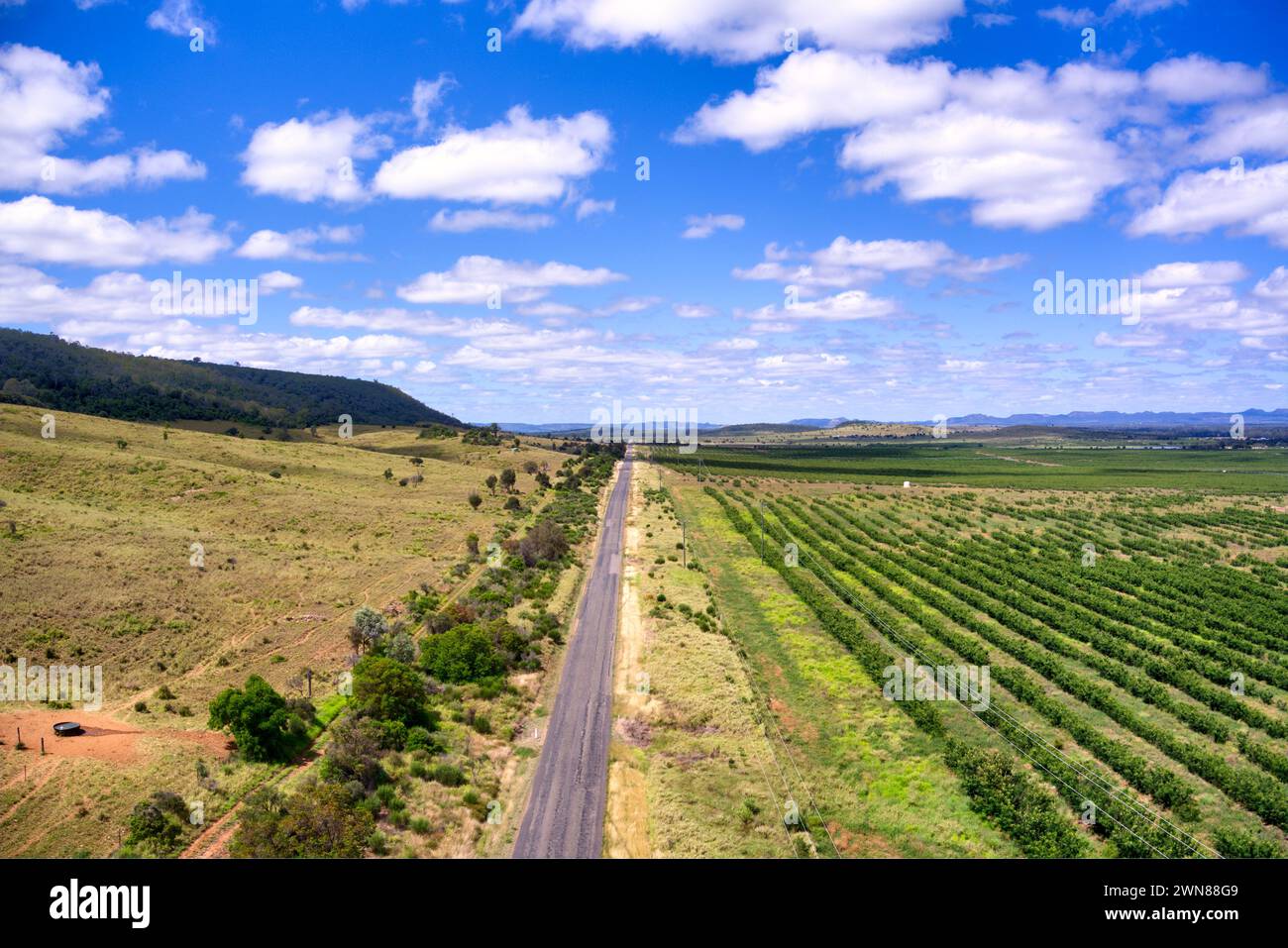 Offene Landstraße, die durch Bewässerung Farmland vom Dawson River führt, um Vieh in der Nähe von Cracow Queensland Australia zu weiden Stockfoto