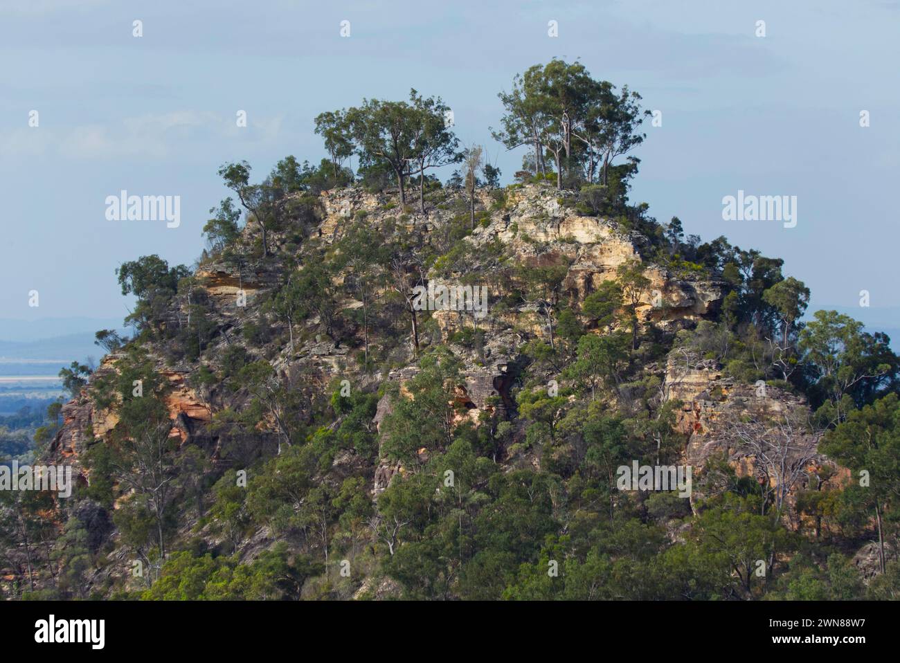 Zerklüftete Sandsteinfelsen sind ein Merkmal des Isla Gorge National Park Queensland Australia Stockfoto