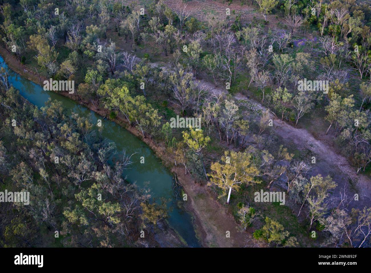 Chain Lagunen in der Nähe von Taroom Queensland Australia Stockfoto