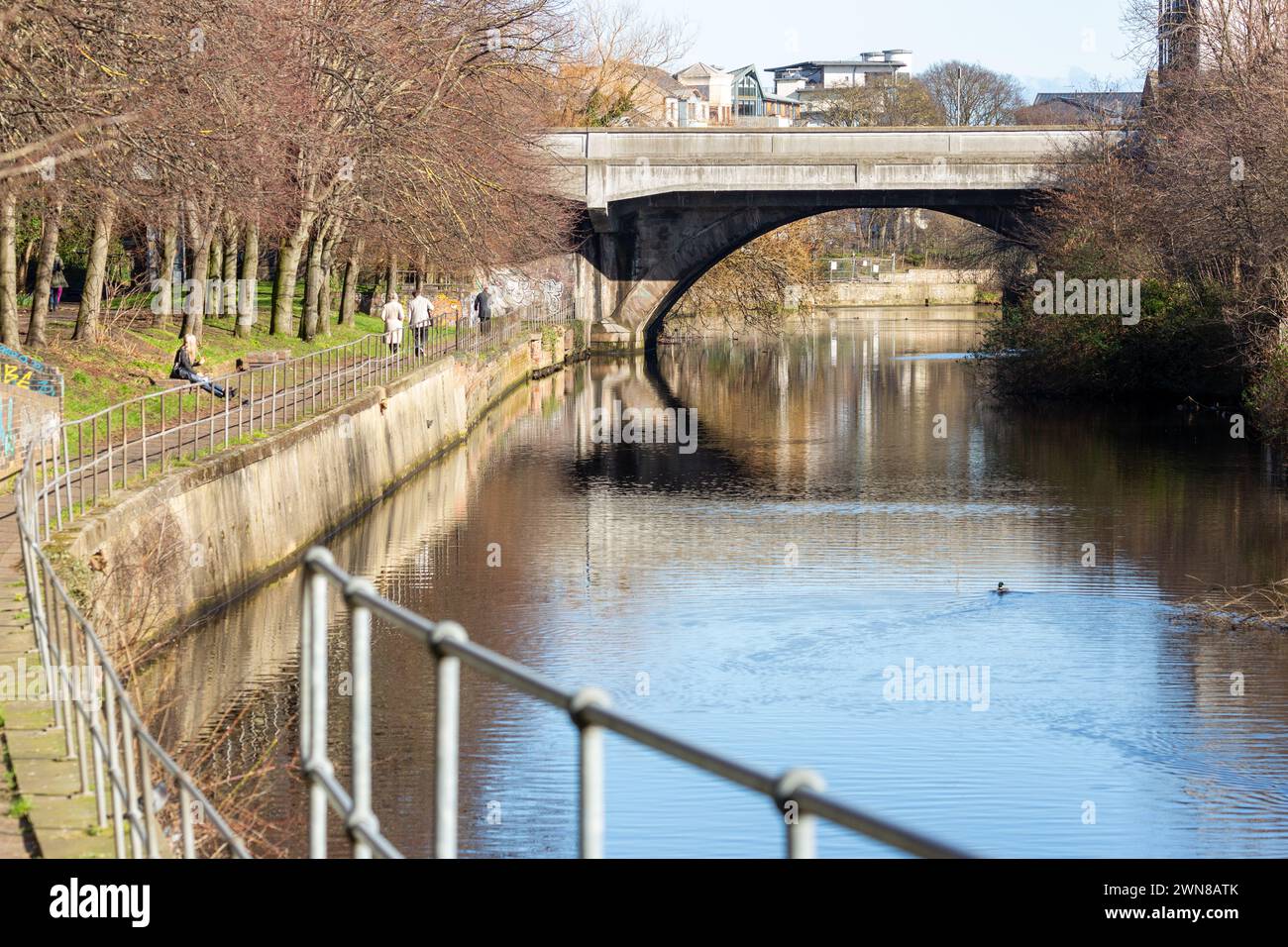 Spaziergang entlang des Water of Leith Fußwegs in Edinburgh an einem sonnigen Februartag. Stockfoto