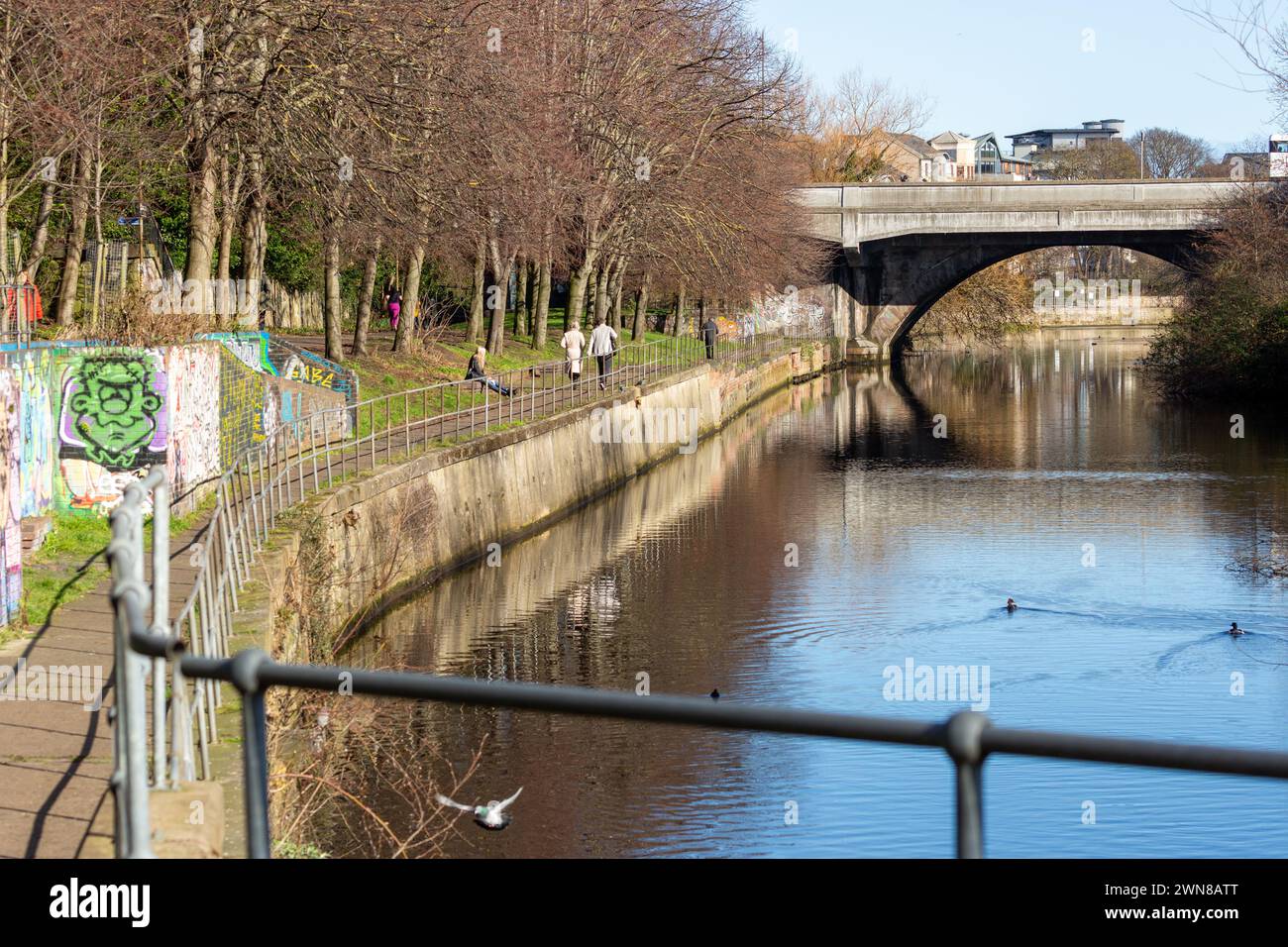 Spaziergang entlang des Water of Leith Fußwegs in Edinburgh an einem sonnigen Februartag. Stockfoto