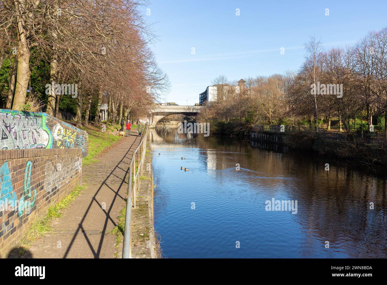 Spaziergang entlang des Water of Leith Fußwegs in Edinburgh an einem sonnigen Februartag. Stockfoto