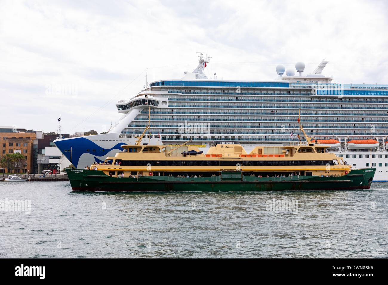 Sydney Cove, Sydney Fähre die MV Freshwater passiert das Kreuzfahrtschiff Majestic Princess, das am Overseas Passagierterminal, Circular Quay, Australien, ankert Stockfoto